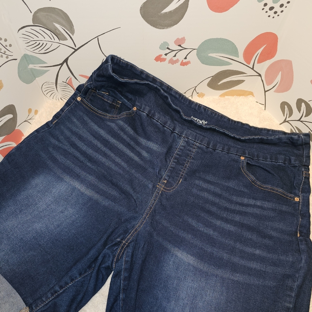 Terra & Sky 2x 20w/22w Denim Bermuda Shorts